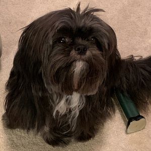 Meet your Posher, Pamela